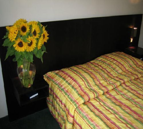Alpha 3* Ostend